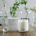 White Lotus Geranium Leaf  Bergamot Candle